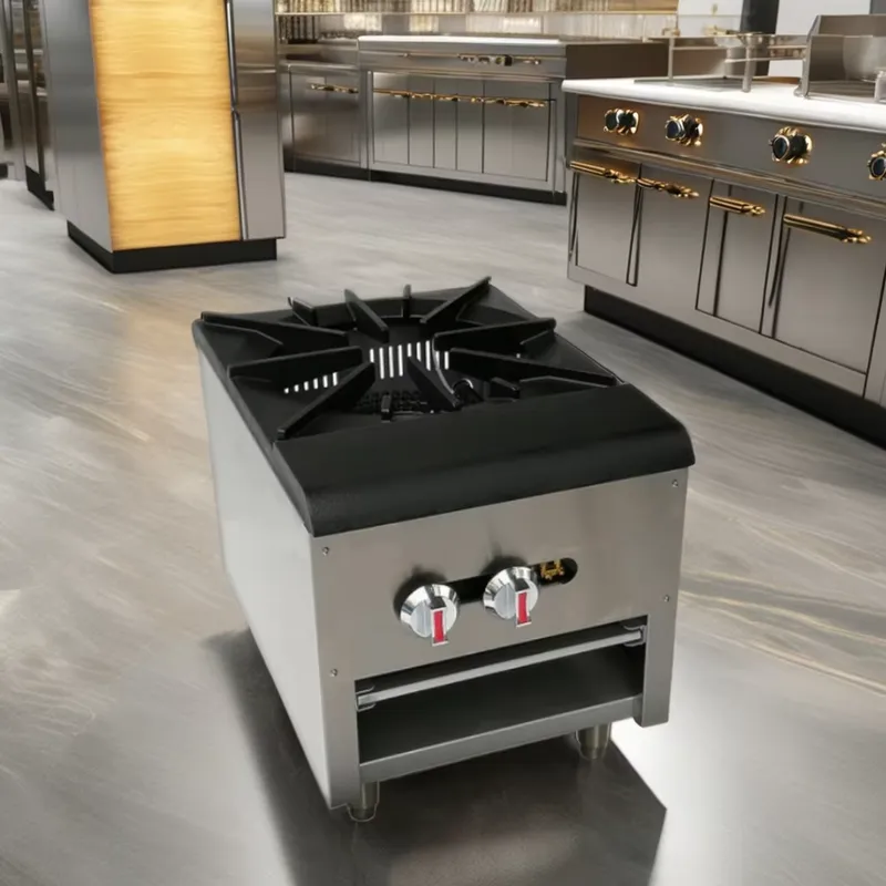 業務用ステンレス製ガス式ストックポット、大容量、ホテルケータ - Commercial Kitchen Boiler のレビューと価格